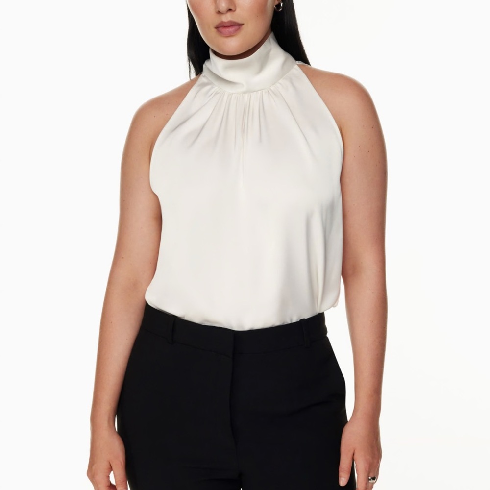 Aritzia Babaton Vitae Blouse — Red